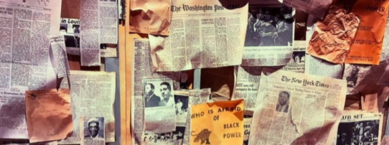 Papers, documents, news clippings, and other articles collaged on a wall.